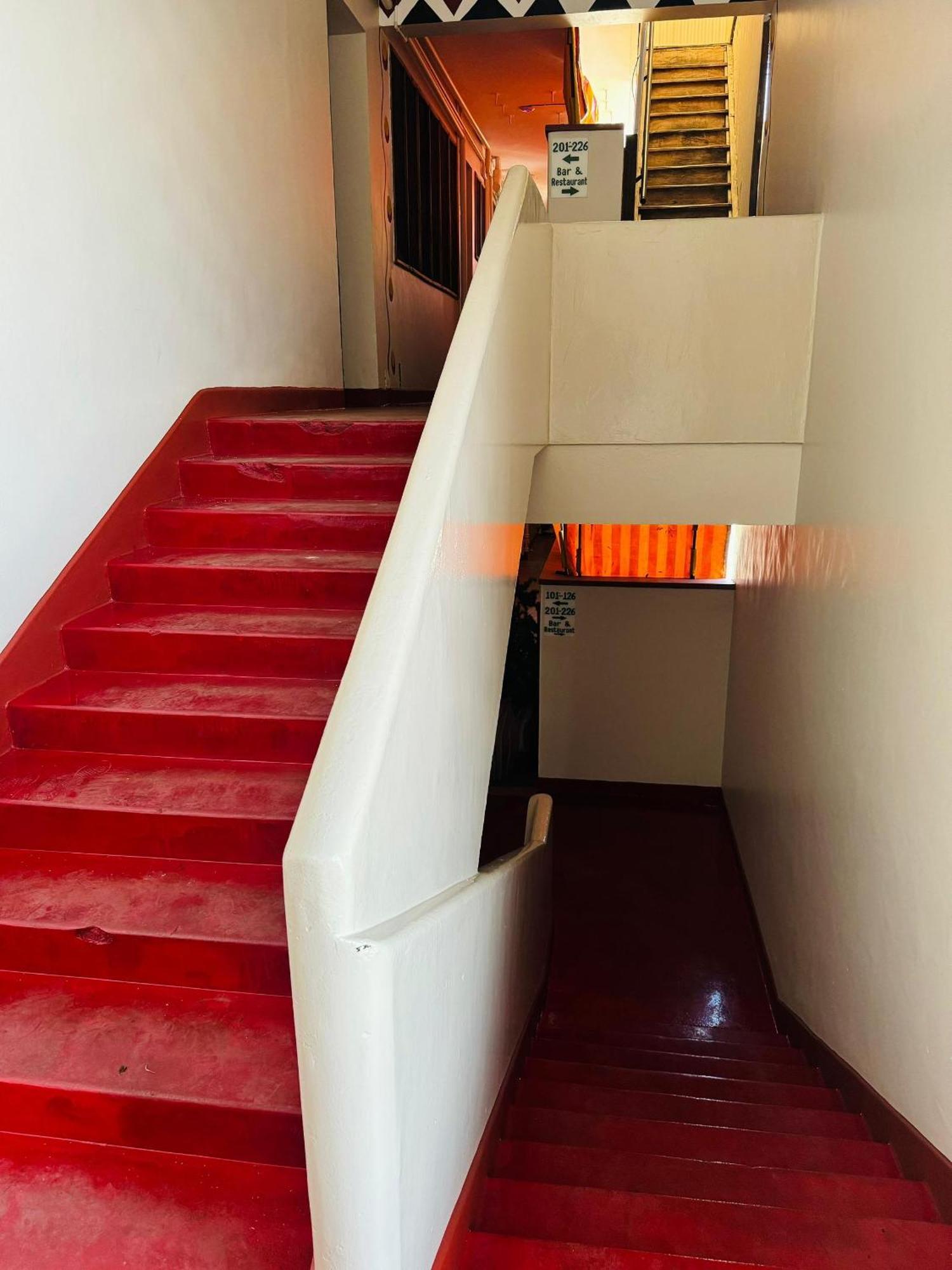 Hotel Backpackers 2*